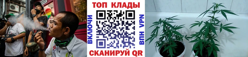 A-PVP Ивангород
