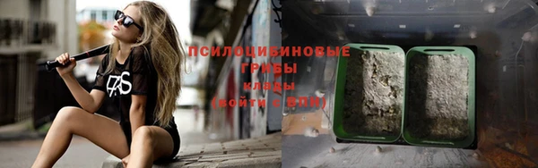 ECSTASY Покров