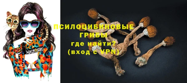 твердый Алексин