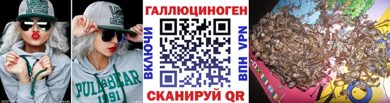 kraken маркетплейс  Ивангород  Галлюциногенные грибы Psilocybe  купить наркотик 