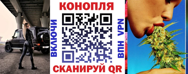 Бошки марихуана марихуана  где купить наркоту  Ивангород 